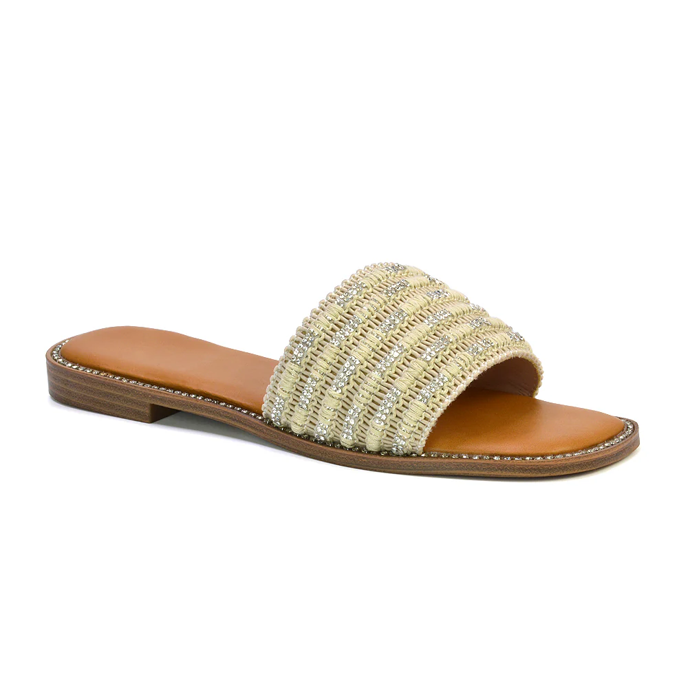 Alba Diamante Material Strap Square Toe Flat Sandals in Black - Image 27