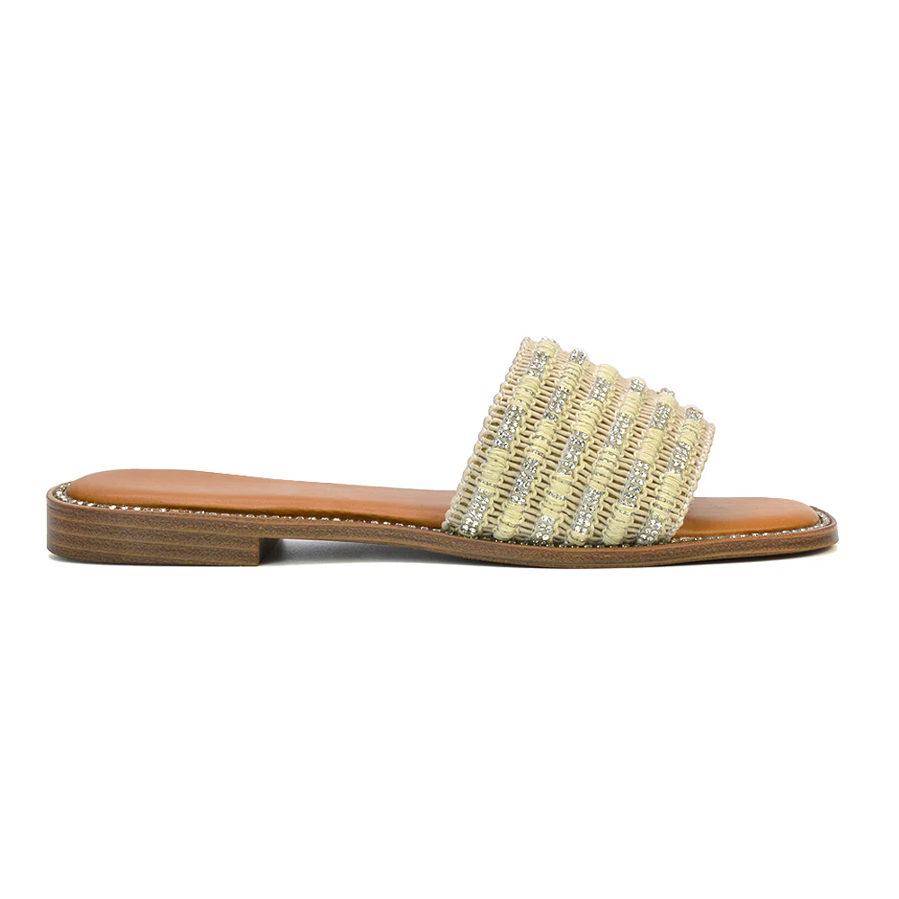 Alba Diamante Material Strap Square Toe Flat Sandals in Black - Image 28