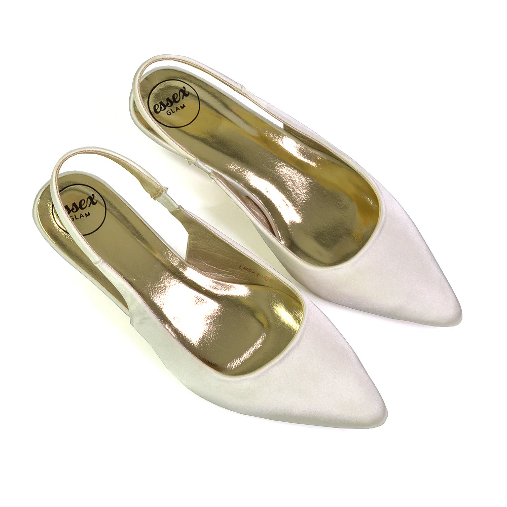 Avalone Pointed Toe Sling Back Strappy Sandals Bridal Shoes with Kitten Heel in Silver - Image 33