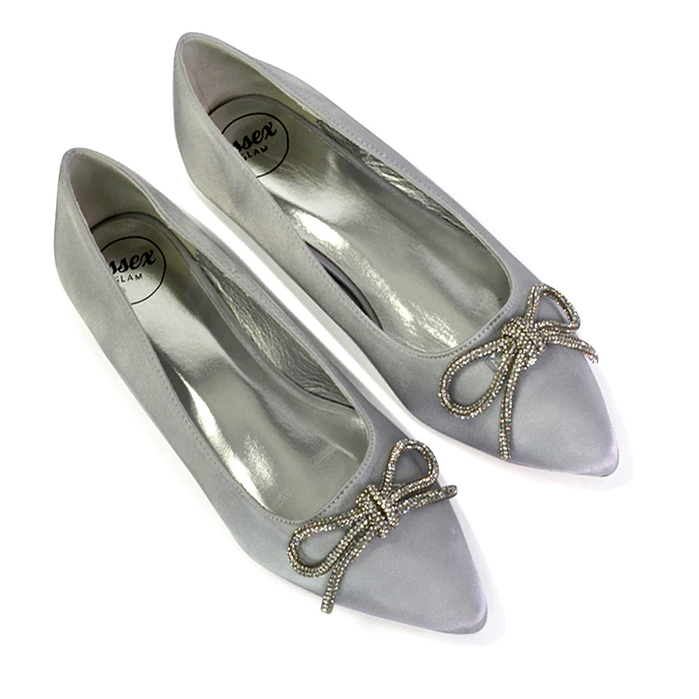 Blossom Diamante Bow Detail Pointed Toe Ballerina Pumps in Silver - Image 136