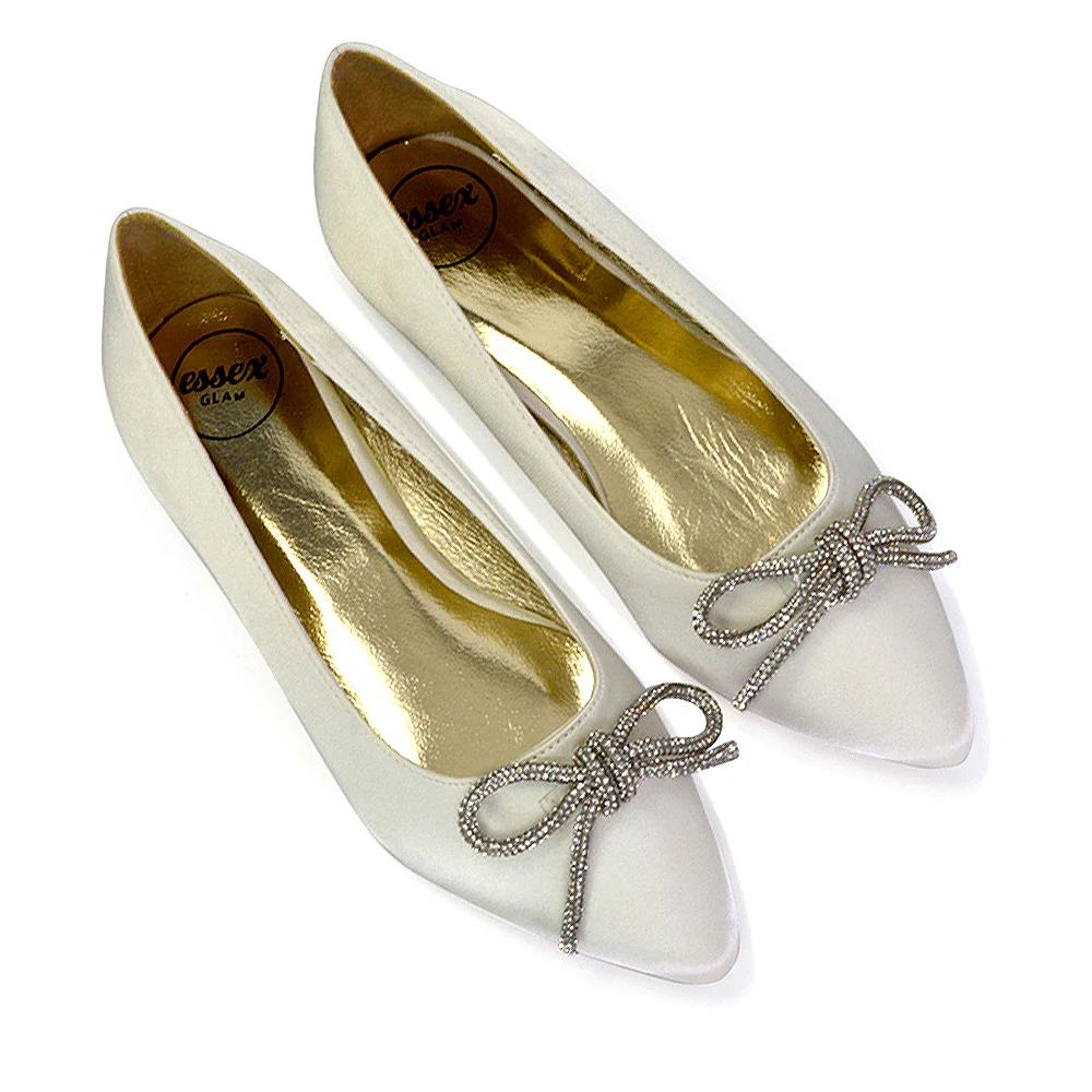Blossom Diamante Bow Detail Pointed Toe Ballerina Pumps in Silver - Image 96