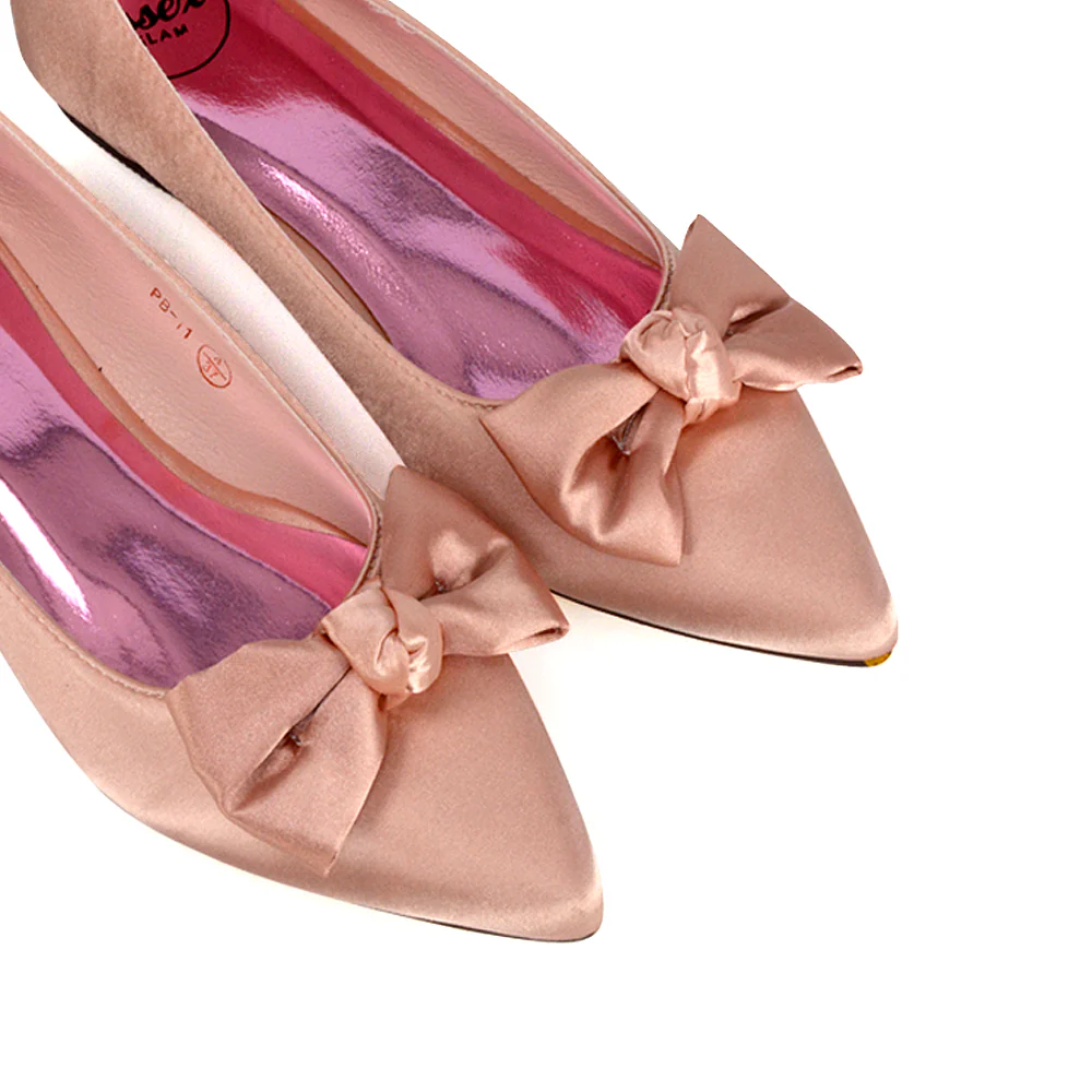 Cally Bow Detail Pointed Toe Ballerina Bridal Flats Pump Shoes in Silver Satin - Image 67