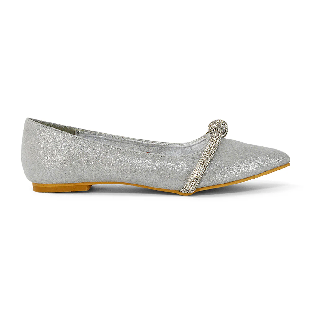 Halley Flat Heel Pointed Toe Sparkly Wedding Embellished Diamante Bridal Pumps in Silver - Image 108