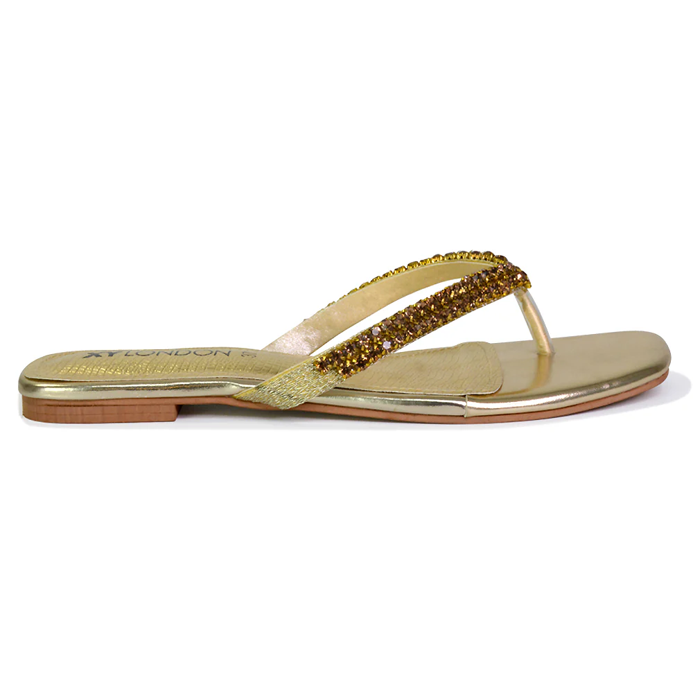 Jazlyn Flat Diamante Flip Flop Sandals Thong Summer Shoes in Silver - Image 113