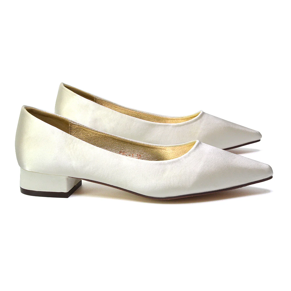 Karen Slip On Pointed Toe Wedding Shoes Low Heel Bridal Heels Court Shoes in Black - Image 29