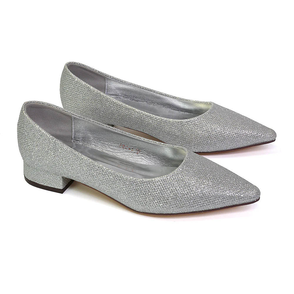 Karen Slip On Pointed Toe Wedding Shoes Low Heel Bridal Heels Court Shoes in Silver - Image 40