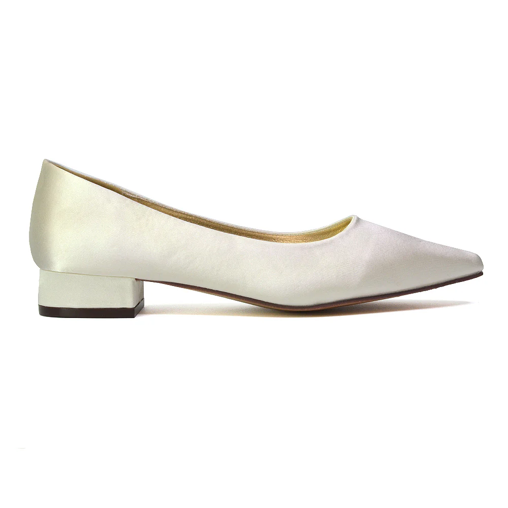 Karen Slip On Pointed Toe Low Block Heel Court Shoes in Brown Faux Suede - Image 17