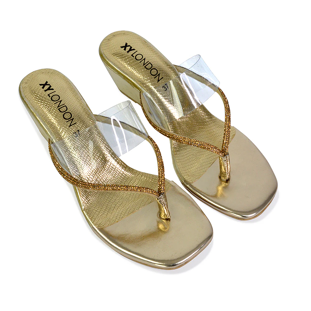 Mirabel Square Toe Post Perspex Wedge Heel Diamante Sandals in Blue - Image 100