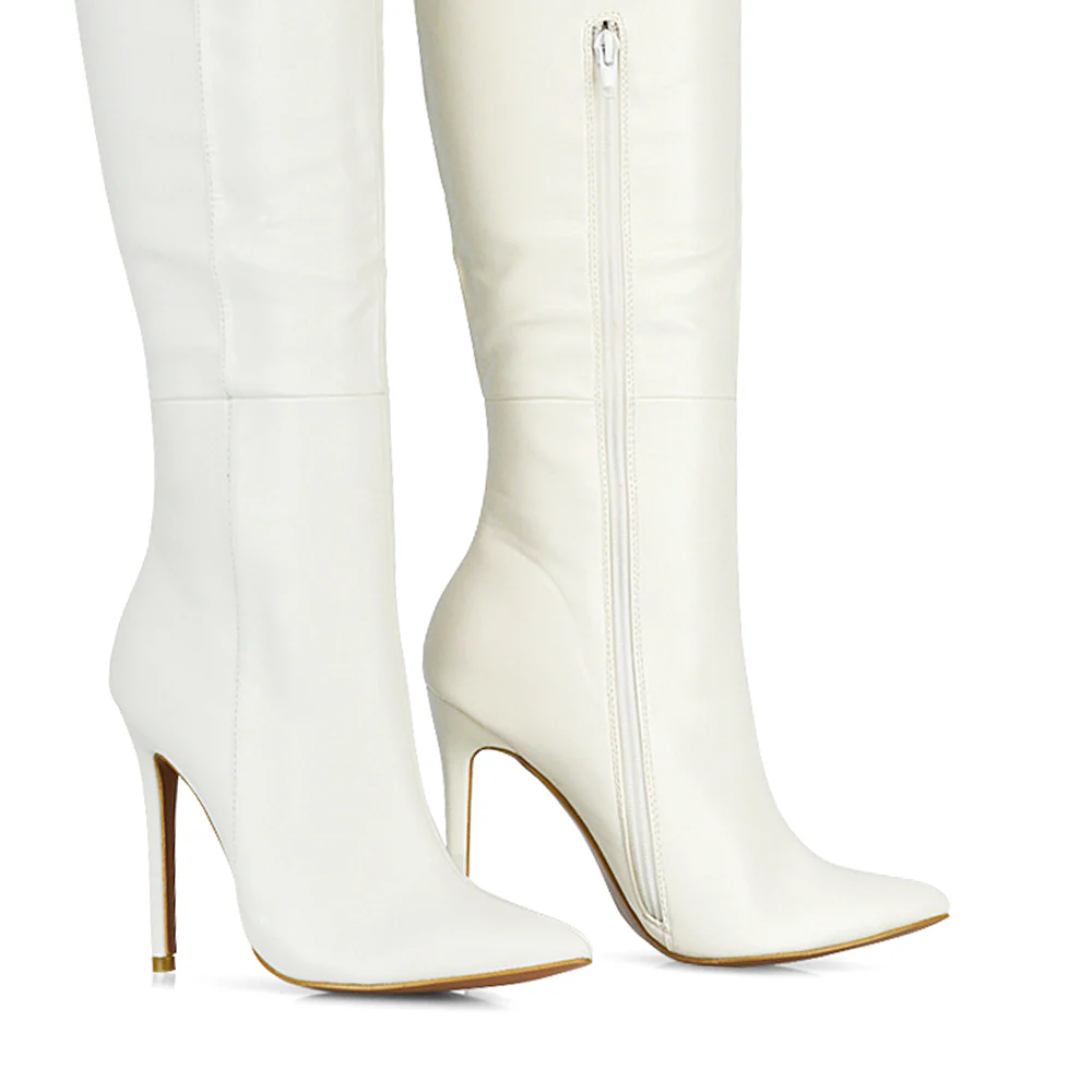 Nora Pointed Toe Zip Fastening Knee High Stiletto High Heel Long Boots in Taupe - Image 99
