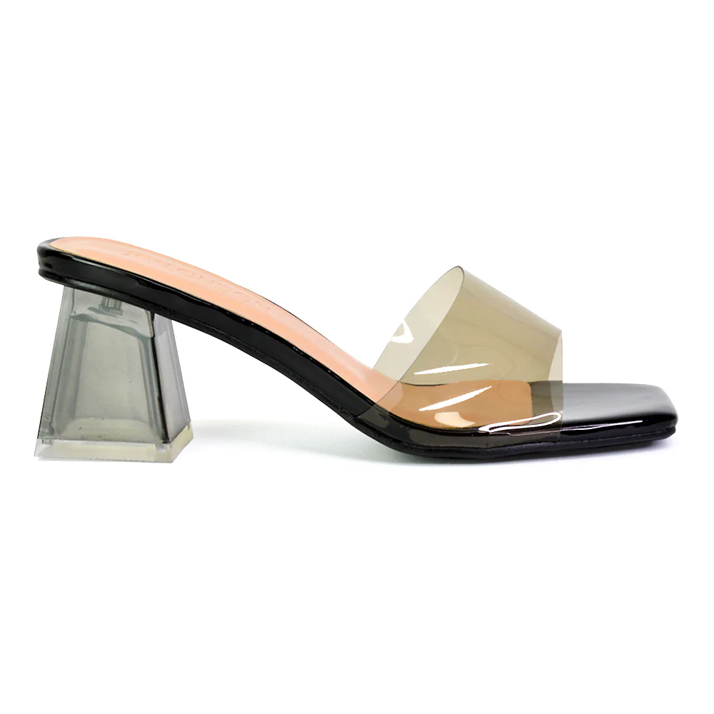 Strawberry Perspex Strappy Square Toe Clear Block Heel Mules in Blue - Image 113
