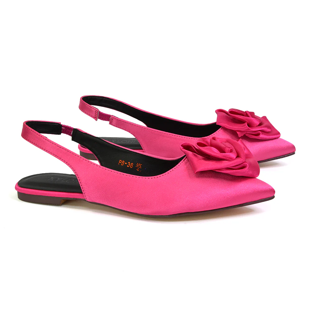 Zooey Rose Pointed Toe Sling Back Flat Ballerina Pump Shoes in Black - Image 19