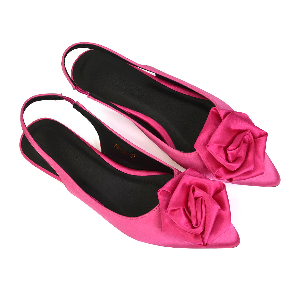 Zooey Rose Pointed Toe Sling Back Flat Ballerina Pump Shoes in Black - Image 20
