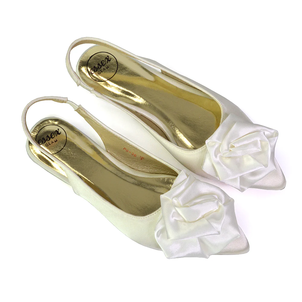 Zooey Rose Pointed Toe Sling Back Flat Ballerina Pump Shoes in Black - Image 51